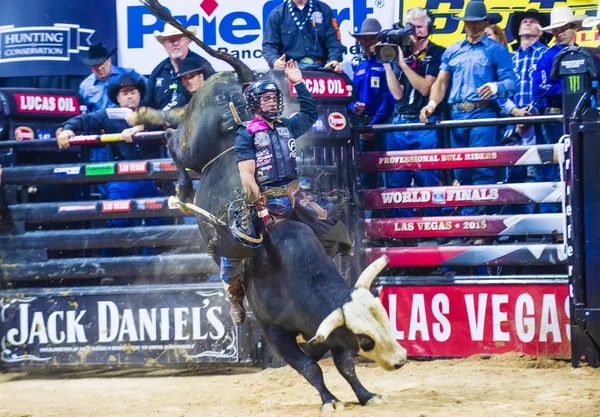 PBR toro a caballo finales mundiales — Foto de Stock