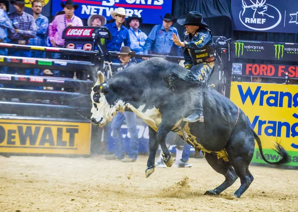 PBR bull riding world finals — ストック写真