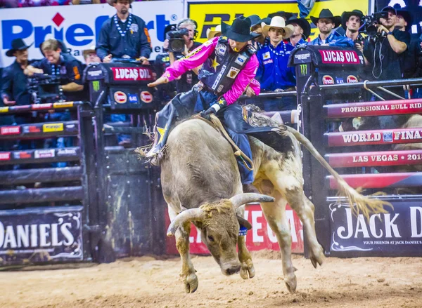 PBR bull riding world finals — 图库照片