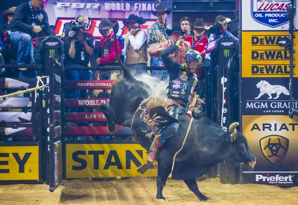 PBR bull riding world finals — 图库照片