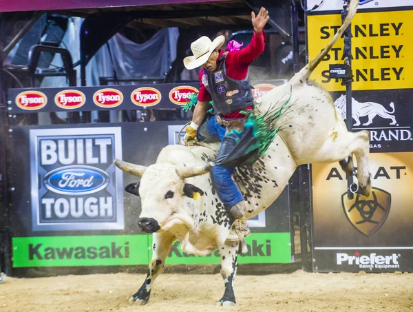 PBR toro a caballo finales mundiales —  Fotos de Stock