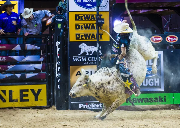 PBR bull riding world finals — Stockfoto