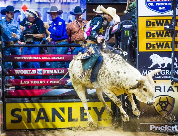 PBR toro a caballo finales mundiales — Foto de Stock