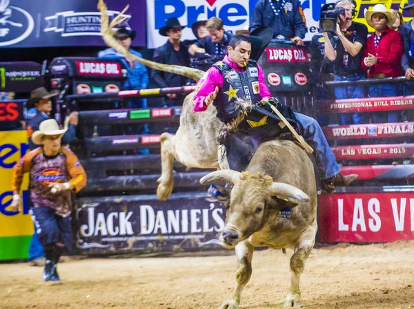 PBR bull riding world finals — Stock Photo, Image