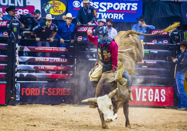 PBR toro a caballo finales mundiales — Foto de Stock