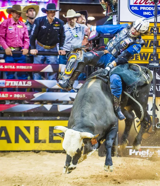 PBR bull riding world finals — Stock fotografie