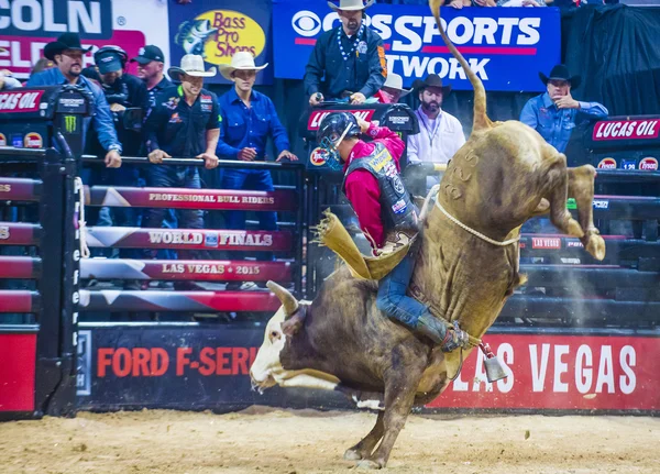 PBR bull riding world finals — Stock Photo, Image