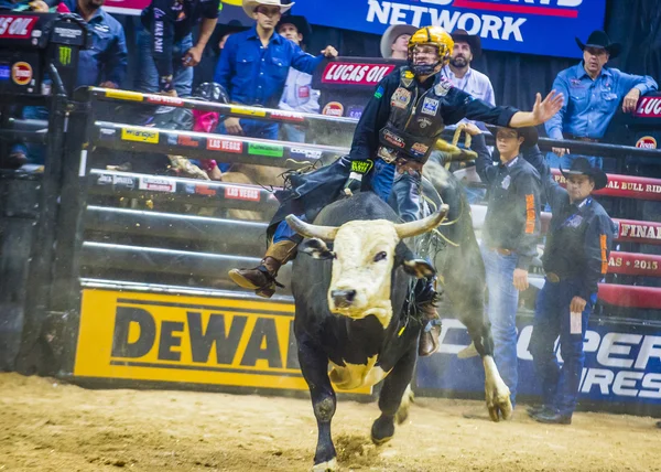 PBR bull riding world finals — Stockfoto