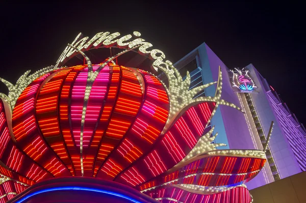 Las Vegas, fenicottero — Foto Stock