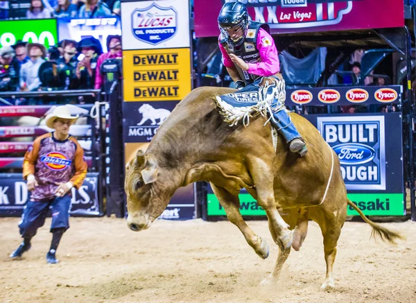 PBR bull riding world finals — 스톡 사진