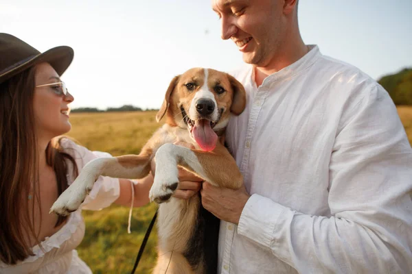 在自然界的田野里 这对快乐的夫妇爱上了一只狗 — 图库照片