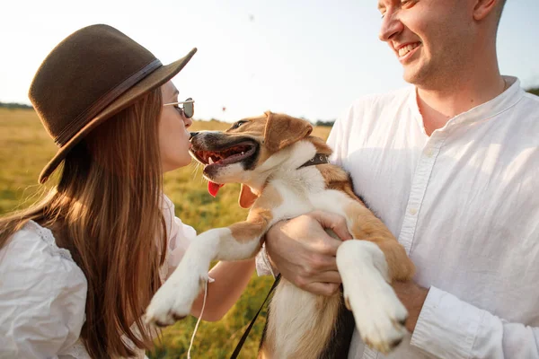 Mutlu Çift Doğadaki Bir Tarlada Köpeğe Aşık — Stok fotoğraf