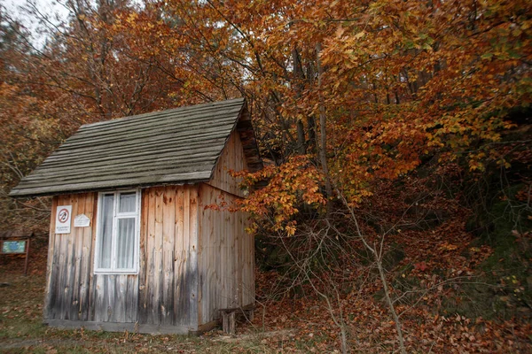Old Atmospheric House Autumn Forest — Stock Photo, Image