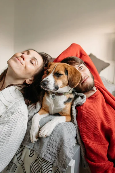 Щаслива Пара Закохана Бігль Собаку Сидить Ліжку — стокове фото