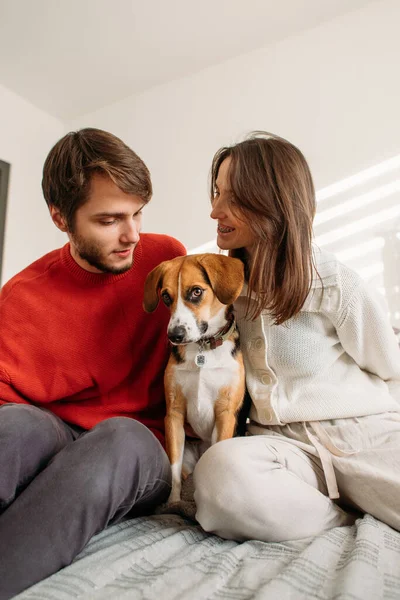 Casal Feliz Amor Com Cão Beagle Sentado Cama — Fotografia de Stock