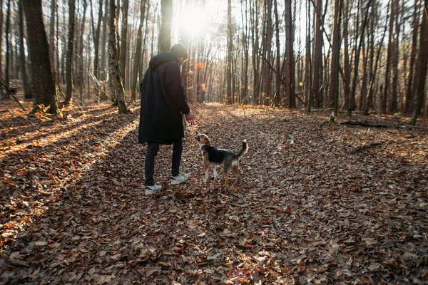 秋の森に犬を連れた青年が — ストック写真