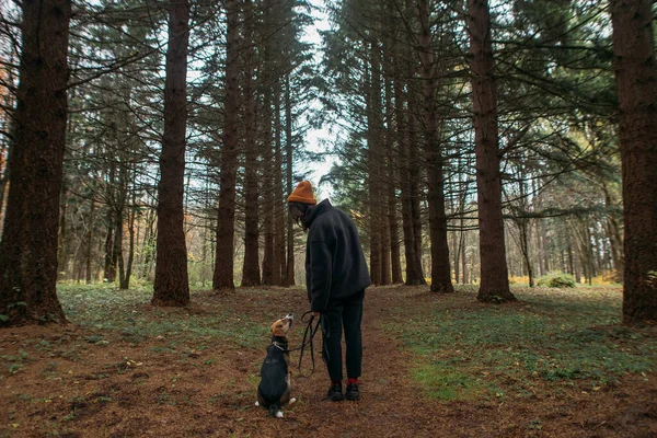 絵のように美しい森の中を犬と歩く若い女性 — ストック写真
