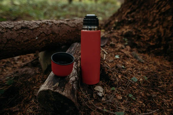 Tee Aus Der Thermoskanne Der Natur Trinken — Stockfoto