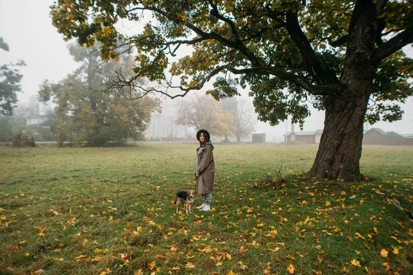 Стильна Молода Жінка Собакою Біля Дерева Тумані — стокове фото