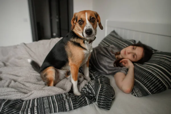 Jonge Vrouw Met Een Hond Het Bed Slaapkamer — Stockfoto