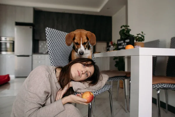 Jovem Gasta Tempo Com Cão Uma Cozinha Acolhedora — Fotografia de Stock