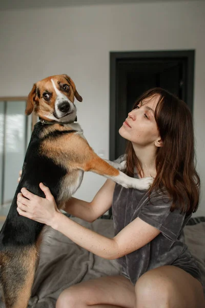 Jonge Vrouw Met Een Hond Het Bed Slaapkamer — Stockfoto