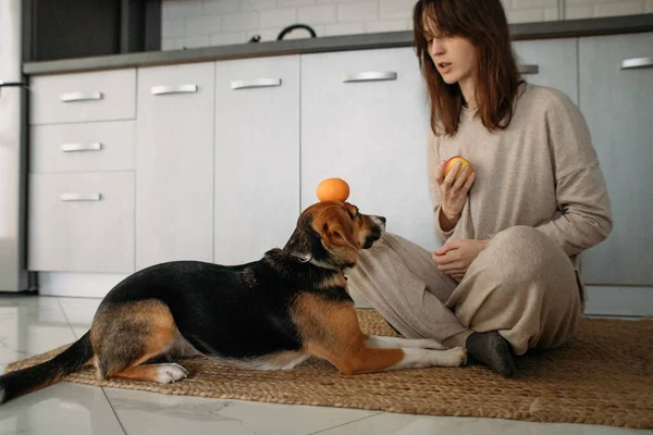 Jonge Vrouw Brengt Tijd Door Met Een Hond Een Gezellige — Stockfoto