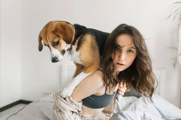 Jonge Vrouw Met Een Hond Bed Hebben Plezier Ochtend — Stockfoto