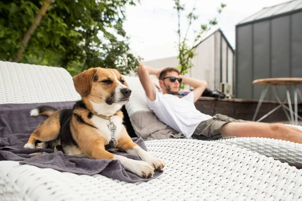 Jongeman Hond Rustend Ligstoelen — Stockfoto