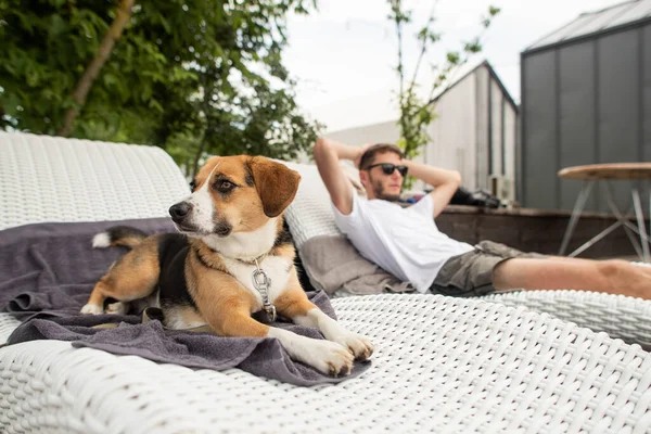 Jongeman Hond Rustend Ligstoelen — Stockfoto