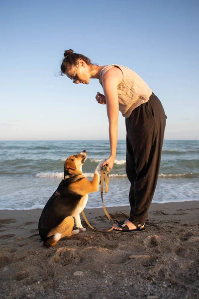 Молода Жінка Бігль Собакою Біля Моря — стокове фото