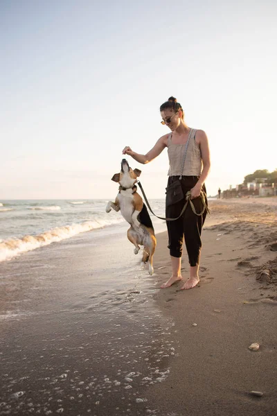 Молода Жінка Бігль Собакою Розважається Біля Моря — стокове фото