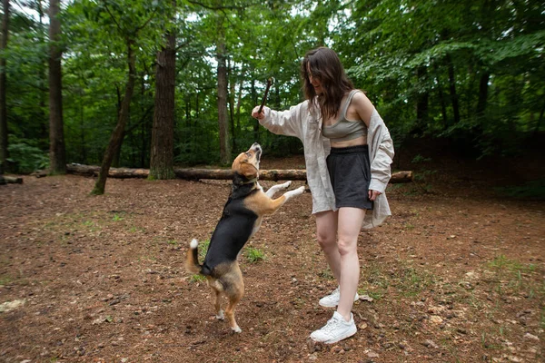 Молода Жінка Грає Собакою Лісі — стокове фото