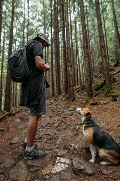 Man Wandelen Met Een Hond Tussen Het Dennenbos — Stockfoto
