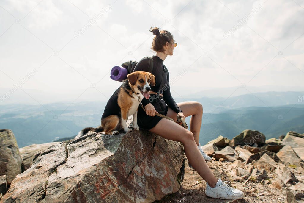 sporty young woman with a dog on top of the mountain