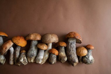 Kahverengi arka planda güzel sonbahar mantarları