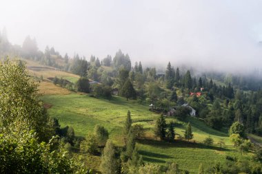 Sabahın manzarası sisli güneşli dağlar