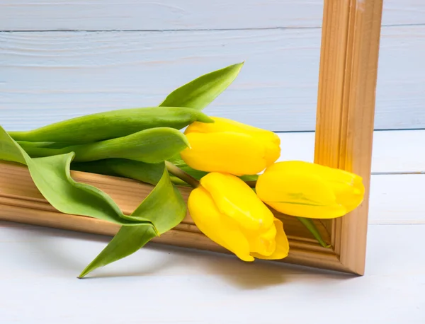 Three fresh yellow tulips — Stock Photo, Image