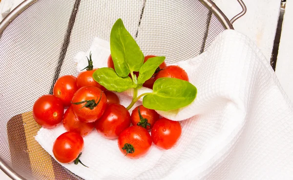 신선한 체리 토마토와 시금치 잎 — 스톡 사진