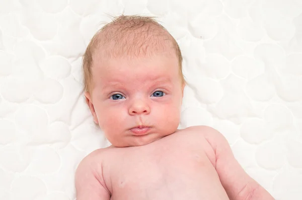 Newborn baby portrait with funny face expression — Stock Photo, Image