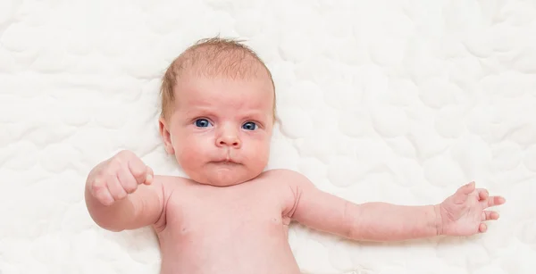 Retrato do bebê recém-nascido com expressão facial engraçada — Fotografia de Stock