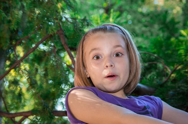 Little girl surprise stares at the camera. — Stock Photo, Image