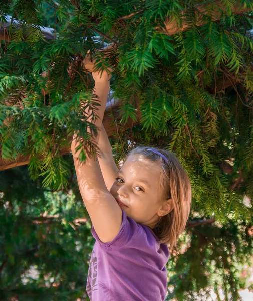 Girl on the tree. — Stock Photo, Image