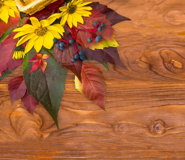 Tiempo de otoño: fondo con hojas de uvas silvestres, flores . —  Fotos de Stock