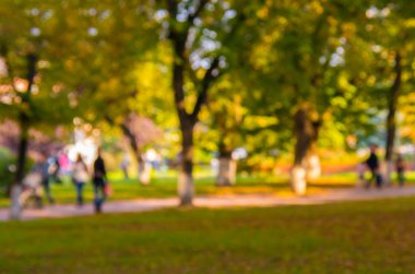 Sonbahar parkta doğal bokeh arka plan. Kasıtlı hareket 