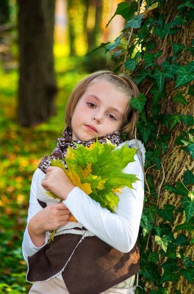 Retrato menina com folhas de bordo coloridas  . — Fotografia de Stock