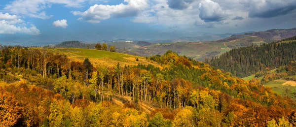 Bosque de otoño en las montañas de los Cárpatos . — Foto de Stock