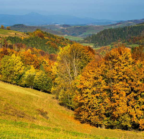 Smíšený les hory na podzim. — Stock fotografie