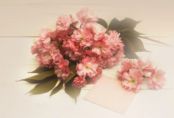 Carte postale avec fleurs de sakura . — Photo