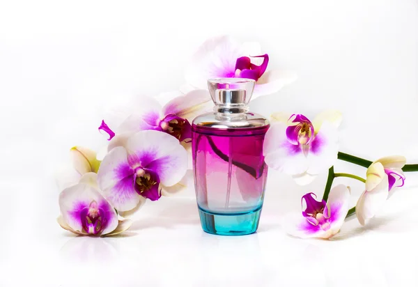 Orchid flowers and perfume. — Stock Photo, Image